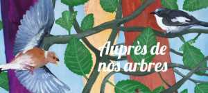 Logo auprès de nos arbres